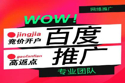 百度竞价价格策略解析，案例分享